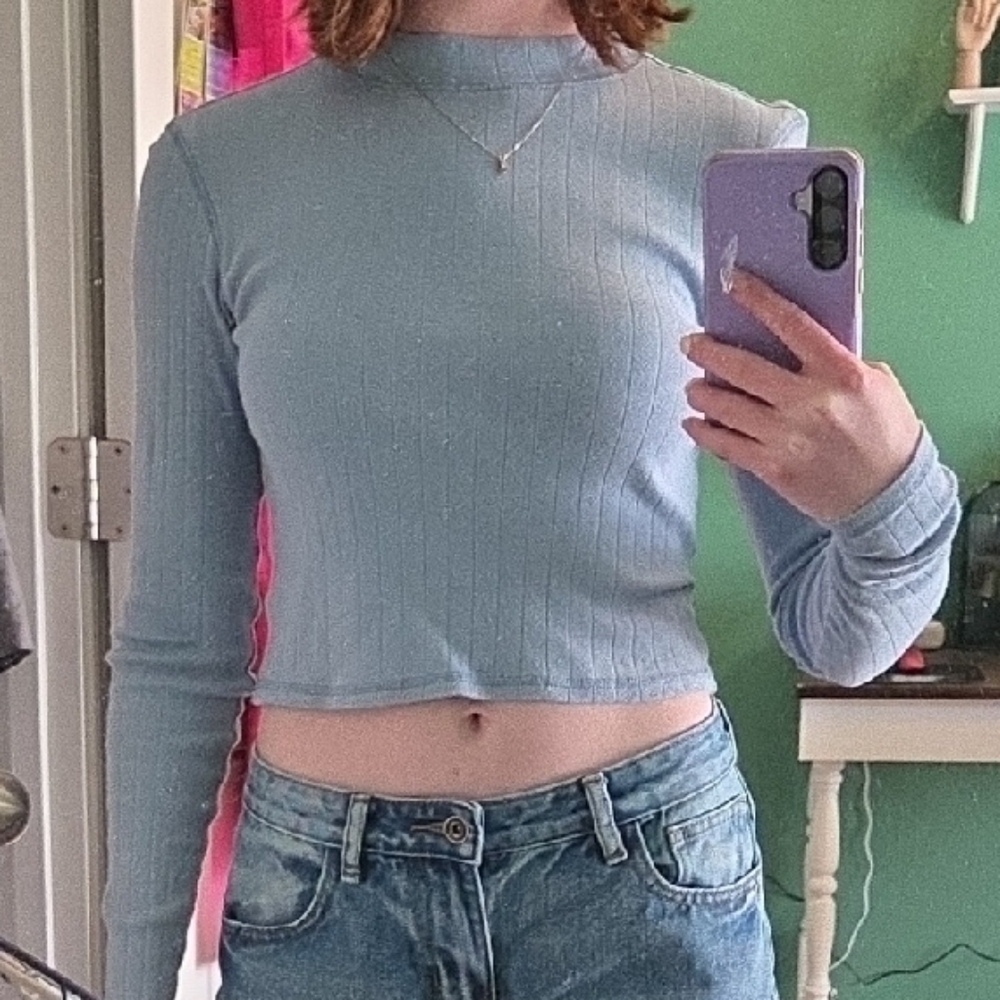 American Eagle Outfitters Light Blue Ribbed Long Sleeve Crop Top